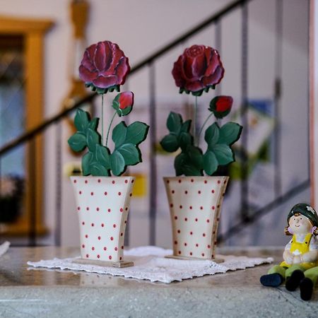 Garni Crepaz Bed & Breakfast Селва ди Вал Гардена Екстериор снимка