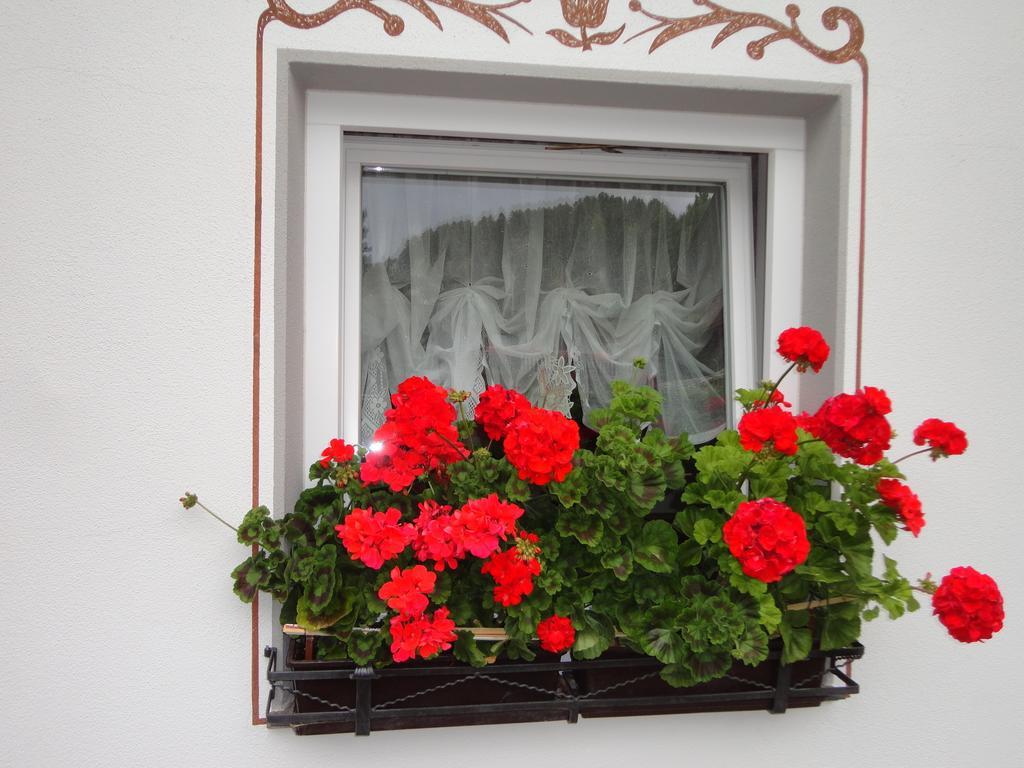 Garni Crepaz Bed & Breakfast Селва ди Вал Гардена Екстериор снимка